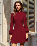 Red Mock Neck See-Through Mini Dress