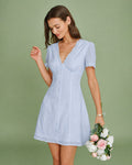Blue V Neck Lace Embroidery Mini Dress